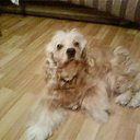 ���� �������, ��������� - ��������� 17 ���� 2011 � ������ ���� ���������