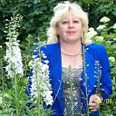 ���� �������, ���������, 64 ���� - ��������� 25 ������� 2012 � ������ ���� ����������