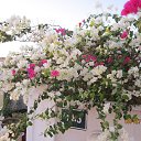 ���� ���������, �������� - ��������� 18 ������ 2013 � ������ ���� ����������