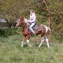 ���� �������, �����������, 32 ���� - ��������� 16 ���� 2011 � ������ ���� ����������