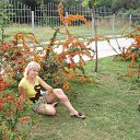 ���� ���, ������-��-����, 53 ���� - ��������� 4 ������ 2012 � ������ ���� ����������