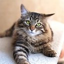  ,  -  3  2010    ,, ۻ