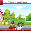  , , 24  -  23  2010   PetLove