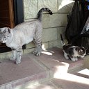 ���� �������, ������ - ��������� 3 ������� 2012 � ������ ��� ����)))�