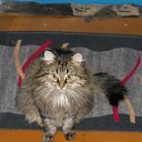 ���� �����, ���������, 33 ���� - ��������� 4 ������ 2011