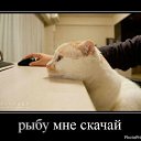 ���� �, ��������� - ��������� 21 ������� 2012 � ������ ���� ����������