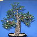 ���� ����, �����������, 63 ���� - ��������� 18 ������ 2010 � ������ ���� ���������