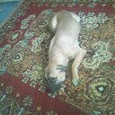 ���� ��������, �������, 39 ��� - ��������� 11 ����� 2012 � ������ ���� ����������