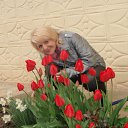 ���� ������, ������, 73 ���� - ��������� 18 ������ 2012 � ������ ���� ����������