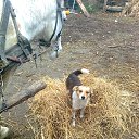 ���� ��������, ����, 59 ��� - ��������� 15 ����� 2013