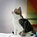 ���� ����, ������ ���, 29 ��� - ��������� 7 ���� 2011 � ������ �������