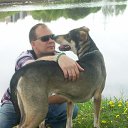 ���� ������, �����-���������, 54 ���� - ��������� 2 ��� 2013