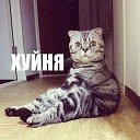 ���� ]{() � � -�]{ @, ������-��-���� - ��������� 20 ���� 2013 � ������ ���� ����������