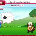 ���� ����, ���������, 45 ��� - ��������� 9 �������� 2010 � ������ �PetLove�