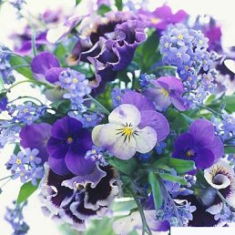 ���� Liubovi Naumova, �������, 45 ��� - ��������� 14 ���� 2012