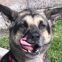 ���� ������, ������, 49 ��� - ��������� 3 ���� 2013 � ������ ���� ����������