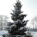 ���� �����, ��������, 54 ���� - ��������� 4 ������� 2011 � ������ ���� ����������