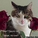 ���� ������, ����������, 40 ��� - ��������� 25 ����� 2010 � ������ �����������