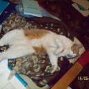 ���� �����, ������, 53 ���� - ��������� 8 ���� 2010 � ������ ���� ���.�