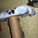 ���� ��������, ����� - ��������� 24 ��� 2010 � ������ ���� ��������