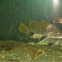 ���� �������, ������������ - ��������� 2 ���� 2010 � ������ �������