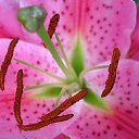 ���� ����� - ���������� ��������!!!, �����������, 56 ��� - ��������� 10 ������ 2010 � ������ ������