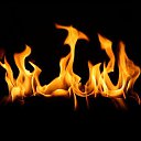 ���� ������, ������, 49 ��� - ��������� 20 ������ 2012 � ������ ���� ����������