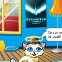 ���� ��������, ����, 42 ���� - ��������� 8 ���� 2010 � ������ �����������