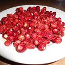 ���� ����, ����� - ��������� 13 ���� 2012 � ������ ���� ����������