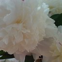 ���� ����, ���������, 47 ��� - ��������� 10 ������� 2010 � ������ ��������