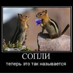���� ��, ������������, 39 ��� - ��������� 17 ������� 2011