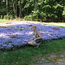 ���� �������!, ��������, 67 ��� - ��������� 17 ������ 2011 � ������ ���� ����������