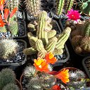 ���� ������, ������, 69 ��� - ��������� 5 ������ 2013 � ������ ���� ��������� ����������