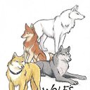 ���� &dagger;���� Wolfa ������&dagger;, ������ ��������, 27 ��� - ��������� 8 ������ 2010 � ������ ������