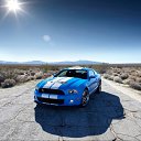 ���� ����, ����, 51 ��� - ��������� 18 ������ 2012 � ������ ���� ����������