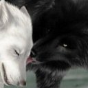 ���� ~~�����zzz���_�����~~, ������������ - ��������� 28 ������� 2012 � ������ ���� ����������