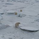 ���� ��������, ������ - ��������� 21 ����� 2012 � ������ �������� �����