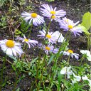 ���� �������, ������, 71 ��� - ��������� 11 ���� 2012 � ������ ������)))�