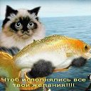 ���� ������, ���������, 65 ��� - ��������� 10 ����� 2012 � ������ ���� ����������