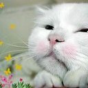 ���� �����, ��������, 70 ��� - ��������� 27 ������ 2011 � ������ ���� ����������