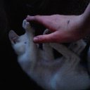 ���� ���4o���(�4-jb)������� �� �����, �����������, 28 ��� - ��������� 5 ������� 2011 � ������ ������....� ��� �� ���