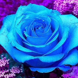  = , , 49  -  1  2012