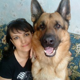 ���� ������, ���������, 54 ���� - ��������� 21 ������� 2013