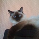 ���� ����, �������� - ��������� 22 �������� 2012 � ������ ����� �������)))�