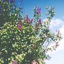 ���� ����, ������-��-����, 48 ��� - ��������� 8 ������ 2010 � ������ ���� ����������