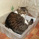 ���� ������, ������������ - ��������� 13 ������� 2011 � ������ ���� ����������