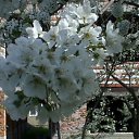   - , , 65  -  2  2012   