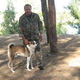 �����, ������, 56 ���