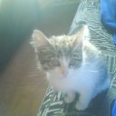 ���� ���������, �����������, 35 ��� - ��������� 16 ������� 2010 � ������ ������