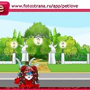 ���� ��������, ������, 41 ��� - ��������� 18 ������ 2011 � ������ �PetLove�